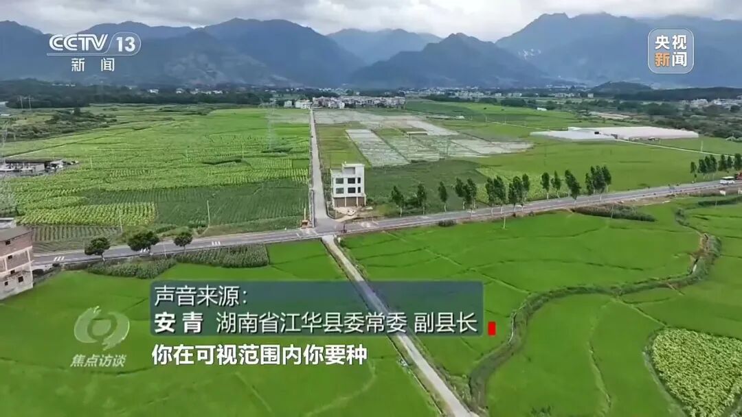 湖南江华县、镇、村三级应付检查,赤裸裸造假!起底“种在纸上”的水稻→ 湖南江华县、镇、村三级应付检查,赤裸裸造假!起底“种在纸上”的水稻→