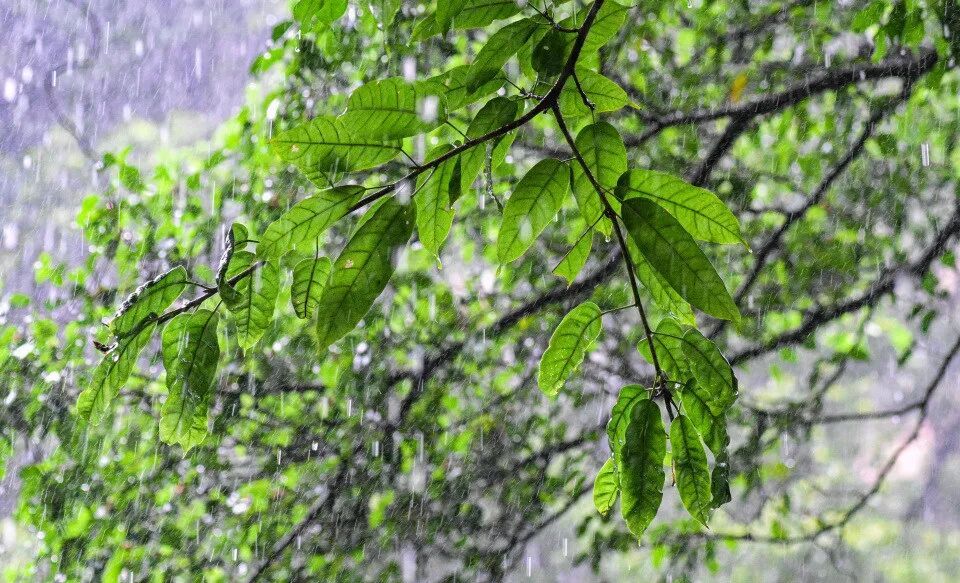 大暴雨马上到广东!还有8级大风,几天后再升温 大暴雨马上到广东!还有8级大风,几天后再升温