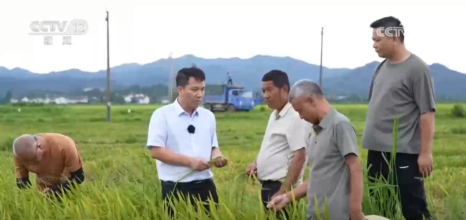 “智慧农机+数据网”科技助力农业生产“加速跑” 希望的田野耕出好“丰”景