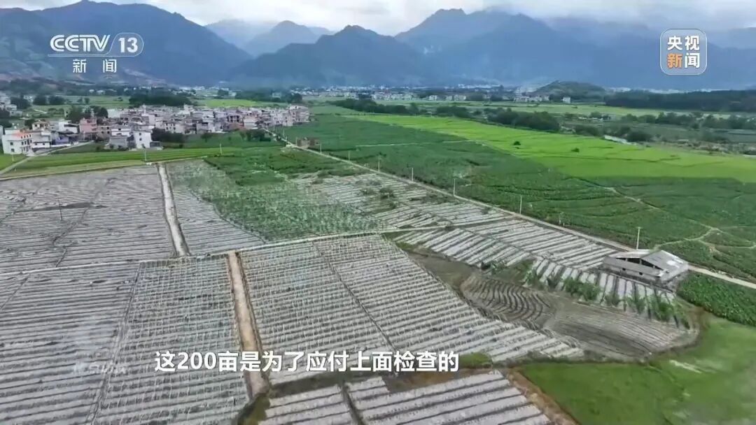 湖南江华县、镇、村三级应付检查,赤裸裸造假!起底“种在纸上”的水稻→ 湖南江华县、镇、村三级应付检查,赤裸裸造假!起底“种在纸上”的水稻→