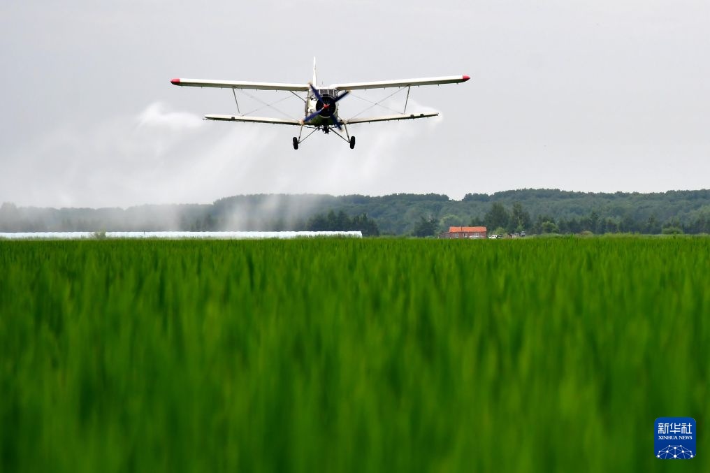 “黑土粮仓”开启农田“空中护航”