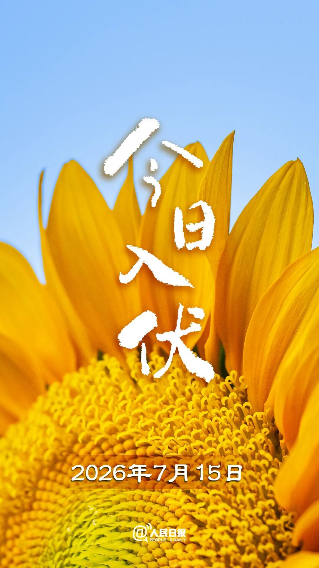 今天,入伏(有40天) 今天,入伏(有40天)