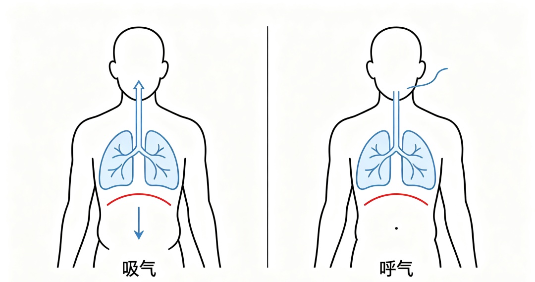 睡觉把手举过头顶,真能睡得更香?原因来了! 睡觉把手举过头顶,真能睡得更香?原因来了!