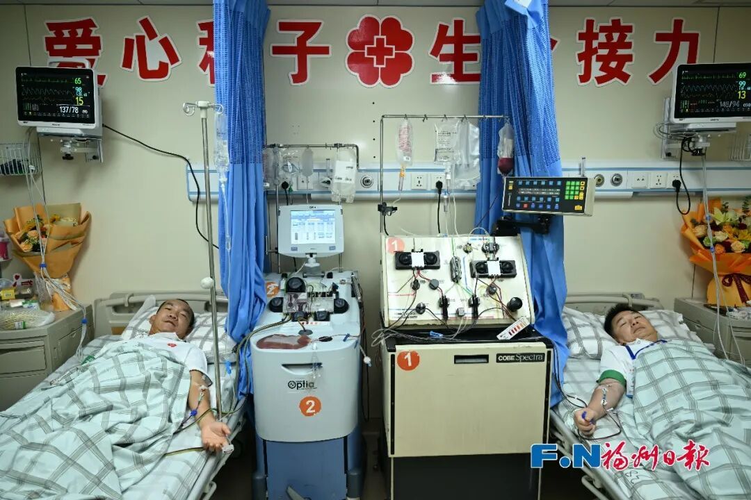 三种人生,同一场生命接力!福州接连完成三例造血干细胞捐献 三种人生,同一场生命接力!福州接连完成三例造血干细胞捐献