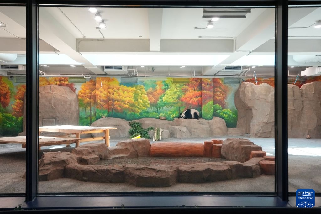 北京动物园“国宝”搬新家 北京动物园“国宝”搬新家