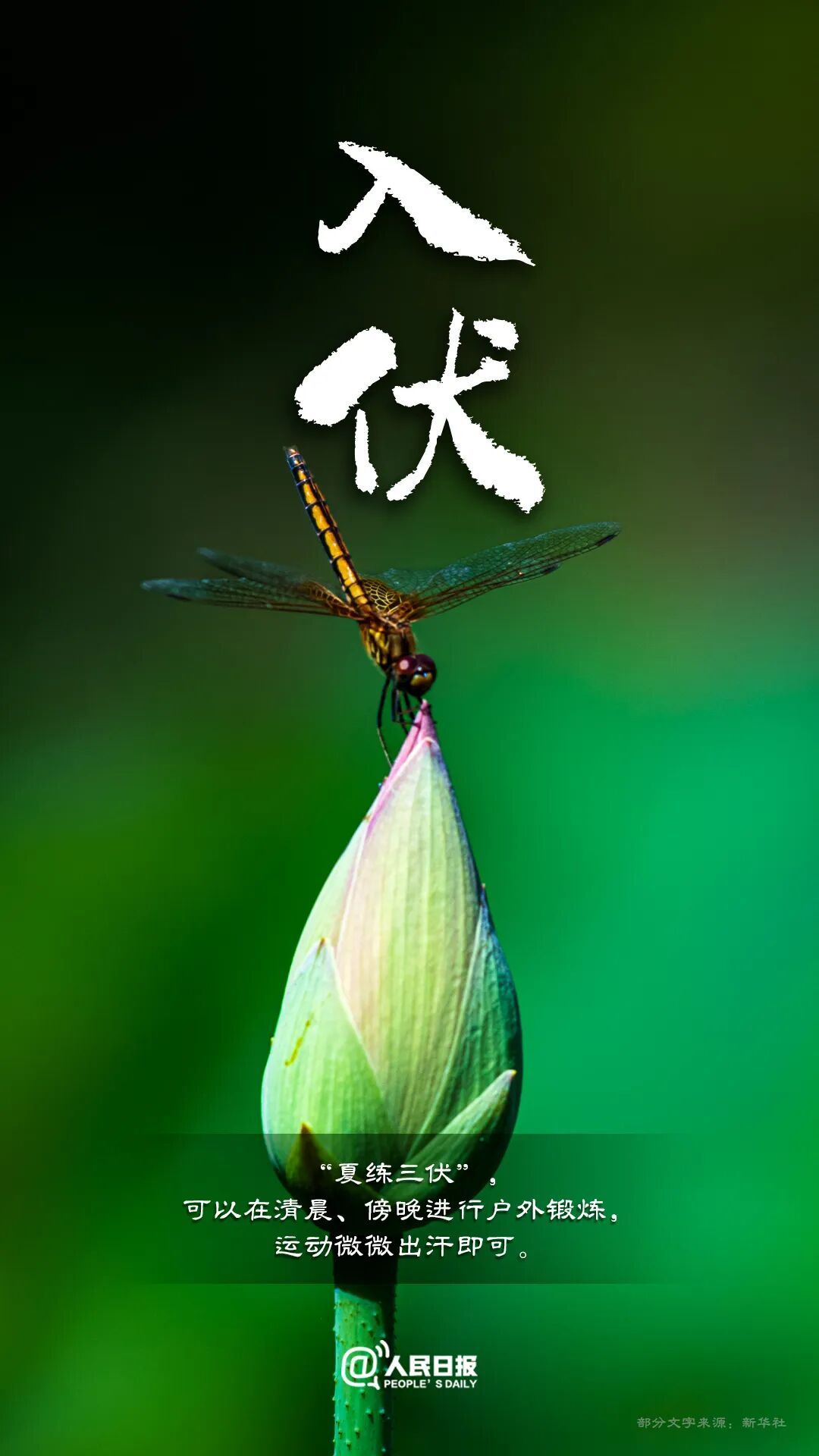 今天,入伏(有40天) 今天,入伏(有40天)