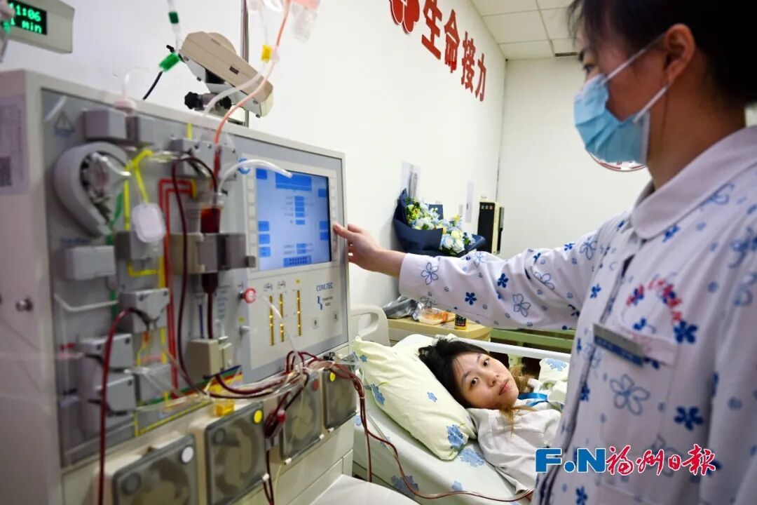 三种人生,同一场生命接力!福州接连完成三例造血干细胞捐献 三种人生,同一场生命接力!福州接连完成三例造血干细胞捐献