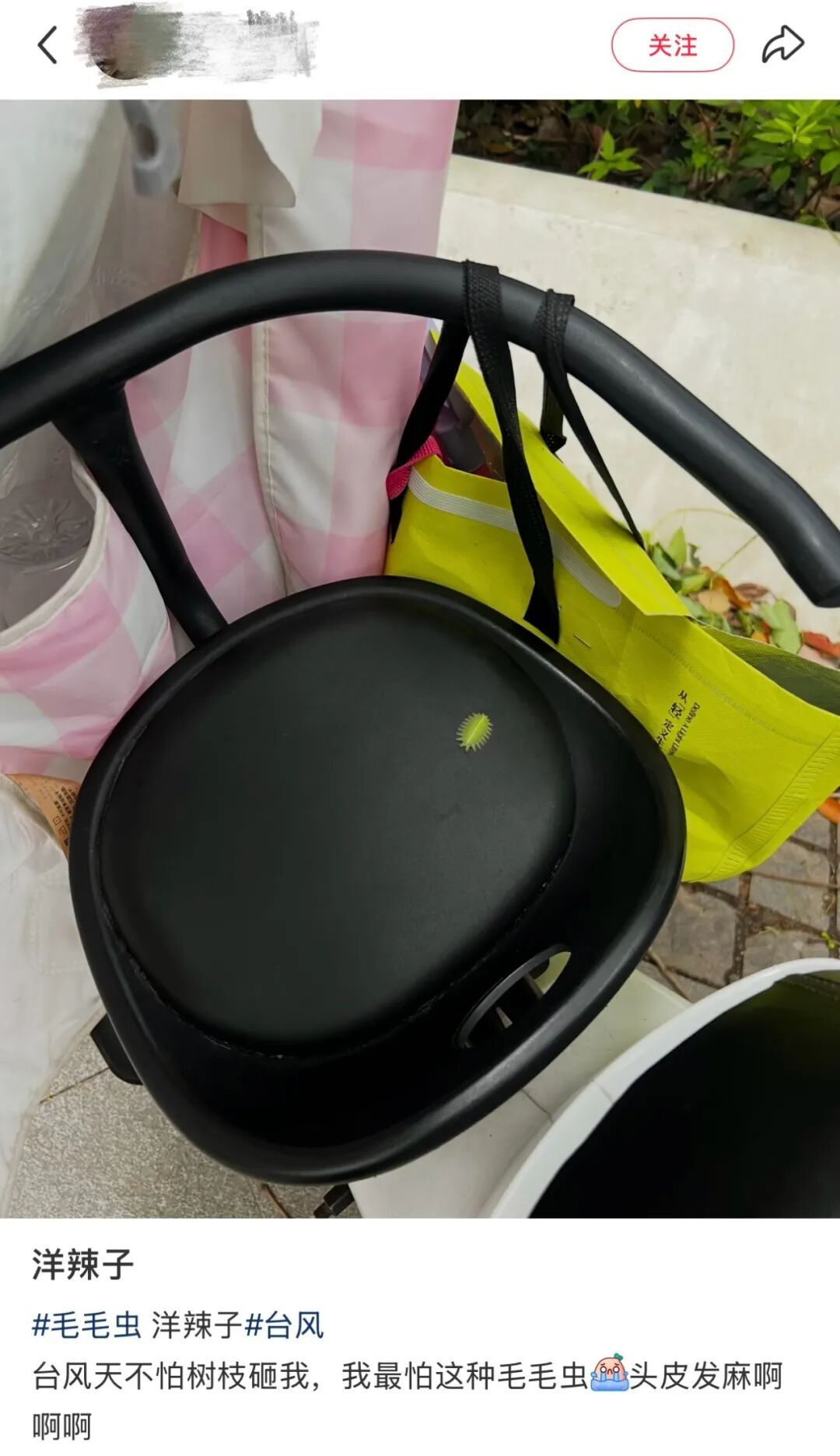 有毒!路边这种“花里胡哨”的小虫千万别碰!上海已有多人中招,医生紧急提醒 有毒!路边这种“花里胡哨”的小虫千万别碰!上海已有多人中招,医生紧急提醒