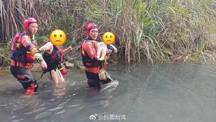 三伏第一天一家5口下河玩水被困 三伏第一天一家5口下河玩水被困