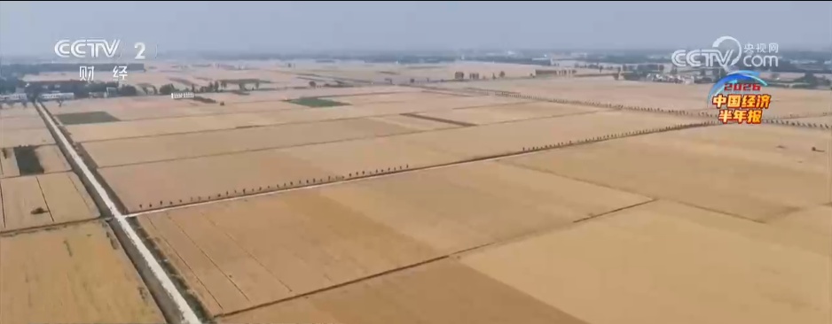 经济“稳”、动能“新”、消费“活” 透视上半年中国经济的多维图景 经济“稳”、动能“新”、消费“活” 透视上半年中国经济的多维图景