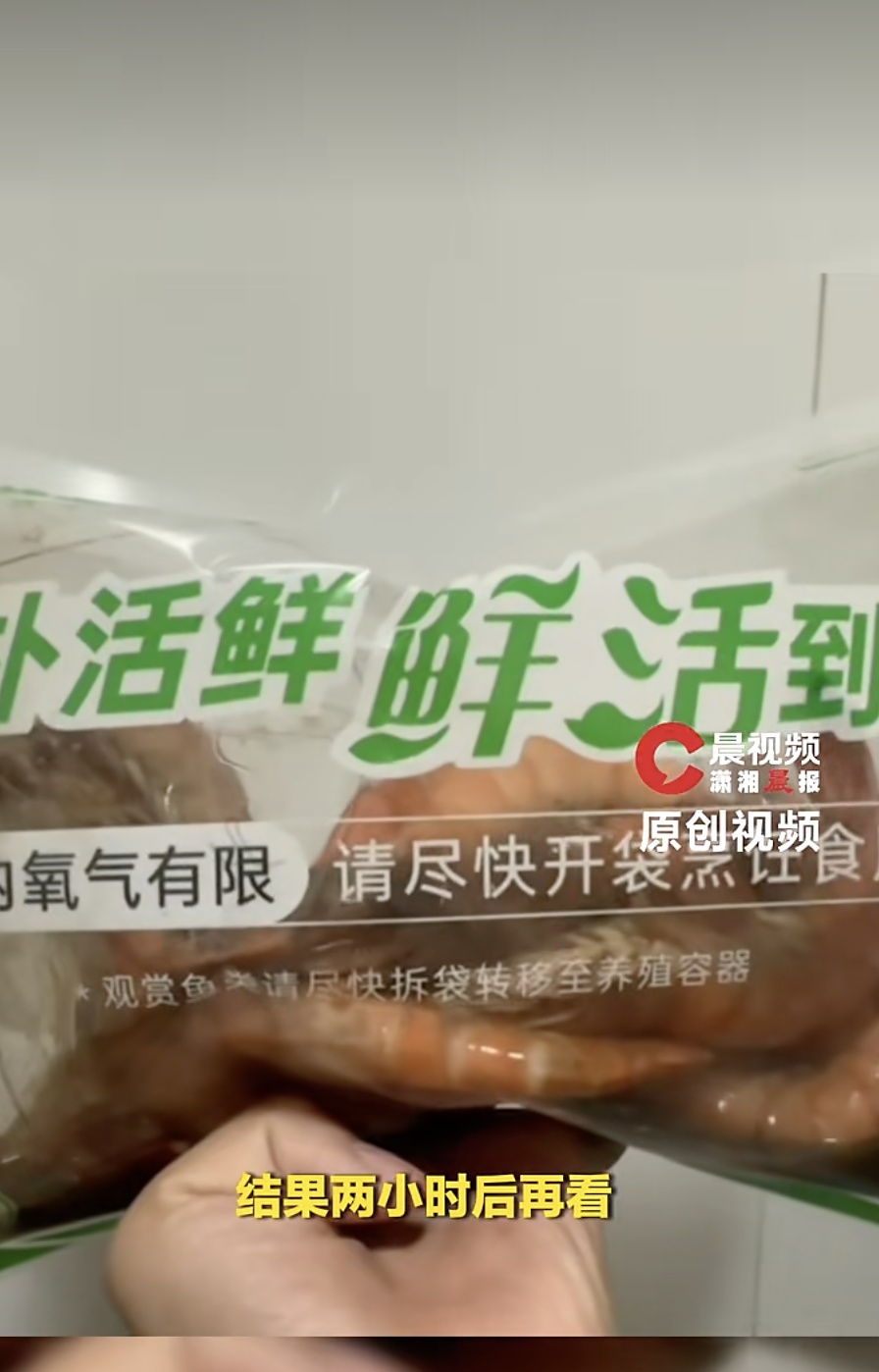 女子称买活虾常温放置两小时后,虾直接“热熟”腐臭了 女子称买活虾常温放置两小时后,虾直接“热熟”腐臭了