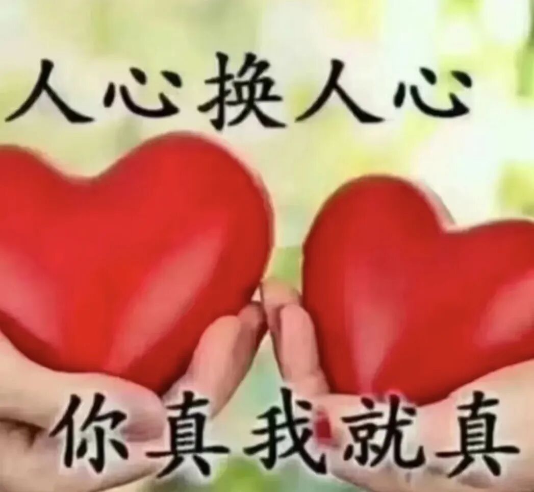 为见女友“静待花开”,痴情男子直奔边境...... 为见女友“静待花开”,痴情男子直奔边境......
