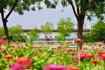 北京小学生种出30亩浪漫花海