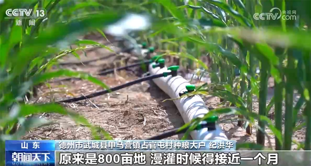 “战”高温、“保”民生、“护”一线 各地多举措筑牢防暑降温安全网