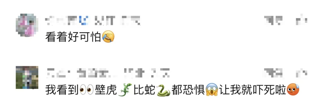 女子在三亚景区上厕所时,被满墙壁虎集体围观!景区回应 女子在三亚景区上厕所时,被满墙壁虎集体围观!景区回应