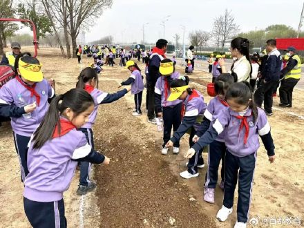 北京小学生种出30亩浪漫花海
