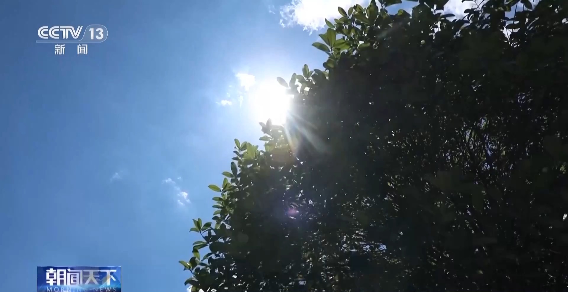 降雨+高温 这几类人群要注意防暑降温