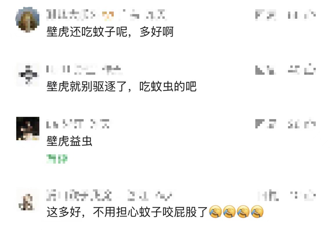 女子在三亚景区上厕所时,被满墙壁虎集体围观!景区回应 女子在三亚景区上厕所时,被满墙壁虎集体围观!景区回应
