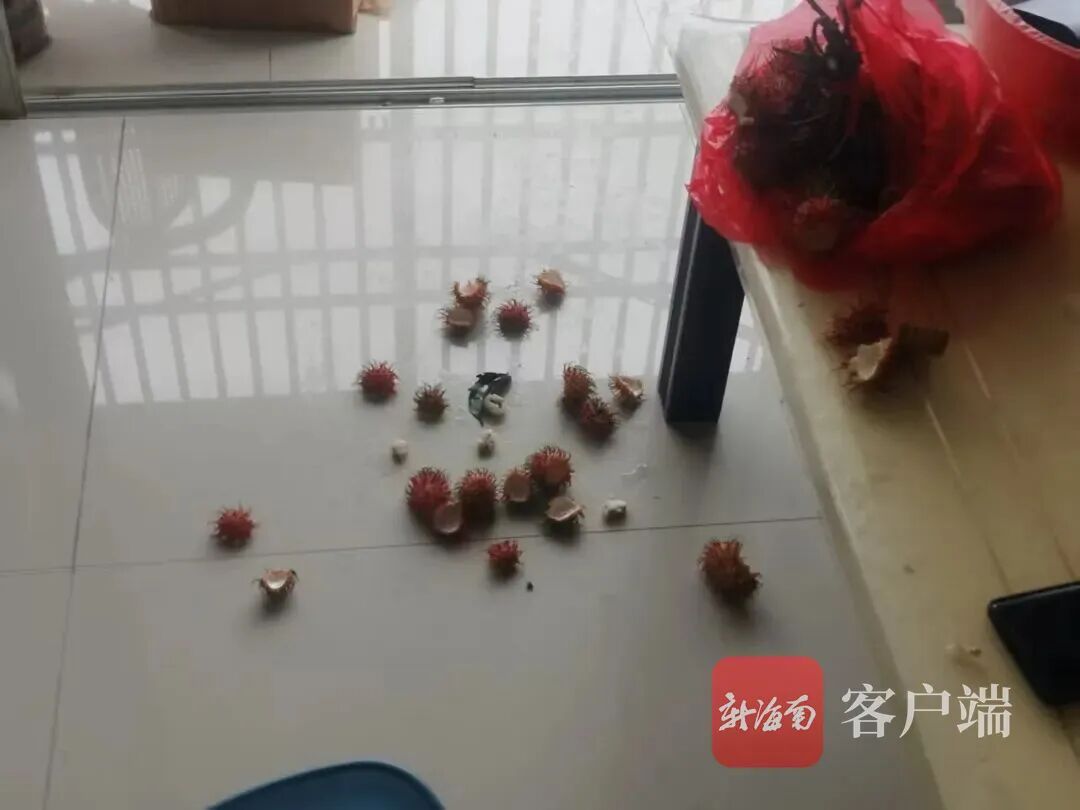 爬阳台、闯民居、偷水果!东方多个小区遭“泼猴”骚扰,官方发布提醒→ 爬阳台、闯民居、偷水果!东方多个小区遭“泼猴”骚扰,官方发布提醒→
