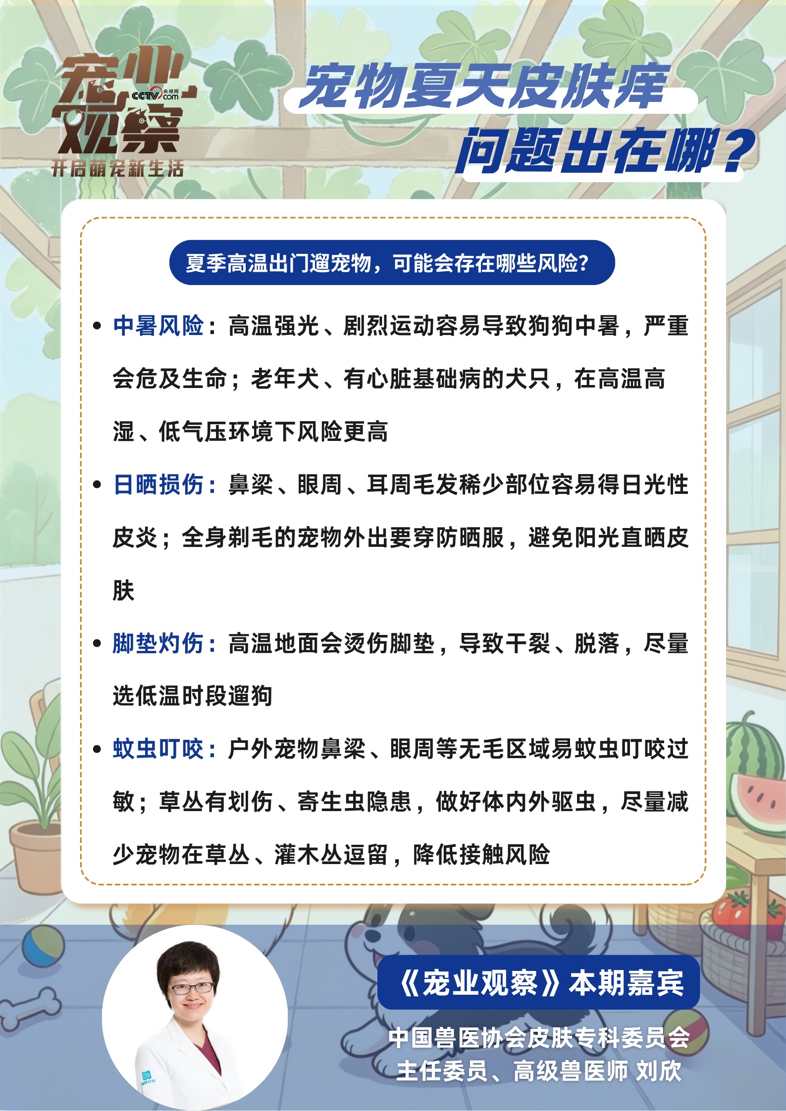 “夏日痒痒”警报,如何守护毛孩子清爽夏日? “夏日痒痒”警报,如何守护毛孩子清爽夏日?