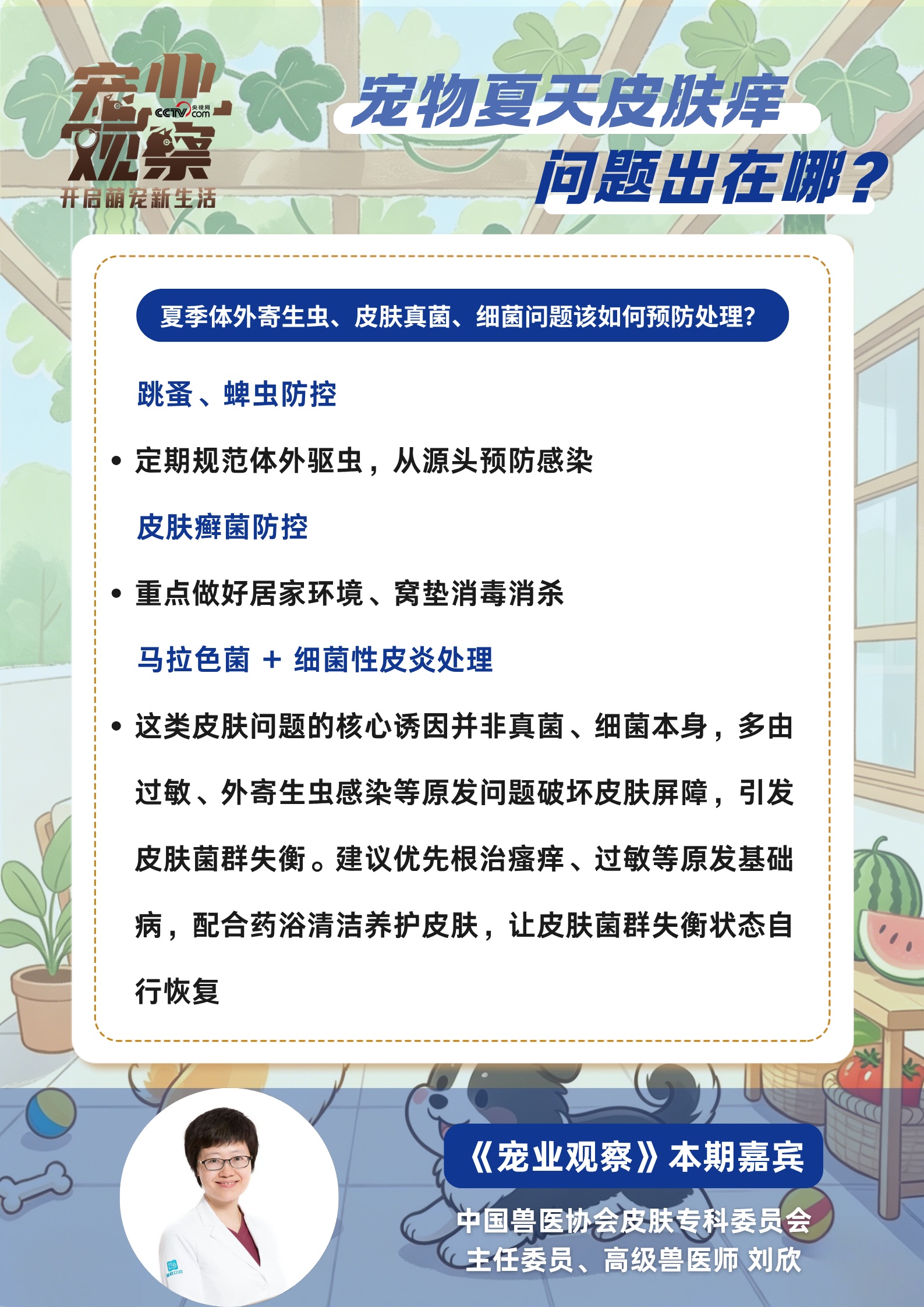 “夏日痒痒”警报,如何守护毛孩子清爽夏日? “夏日痒痒”警报,如何守护毛孩子清爽夏日?