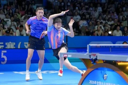 马龙/许昕晋级八强 马龙/许昕晋级八强