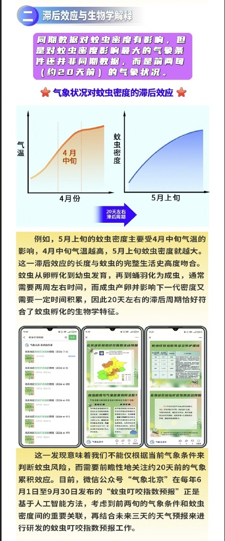 北京地区蚊虫高峰期即将来临 北京地区蚊虫高峰期即将来临