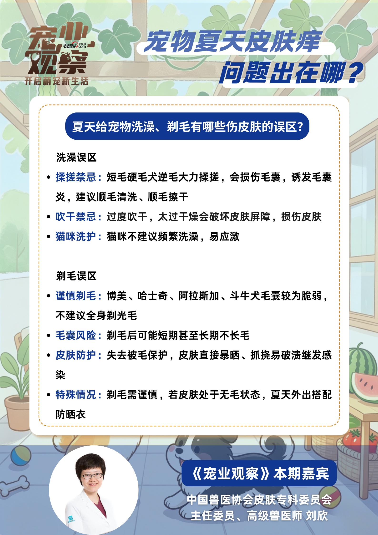 “夏日痒痒”警报,如何守护毛孩子清爽夏日? “夏日痒痒”警报,如何守护毛孩子清爽夏日?