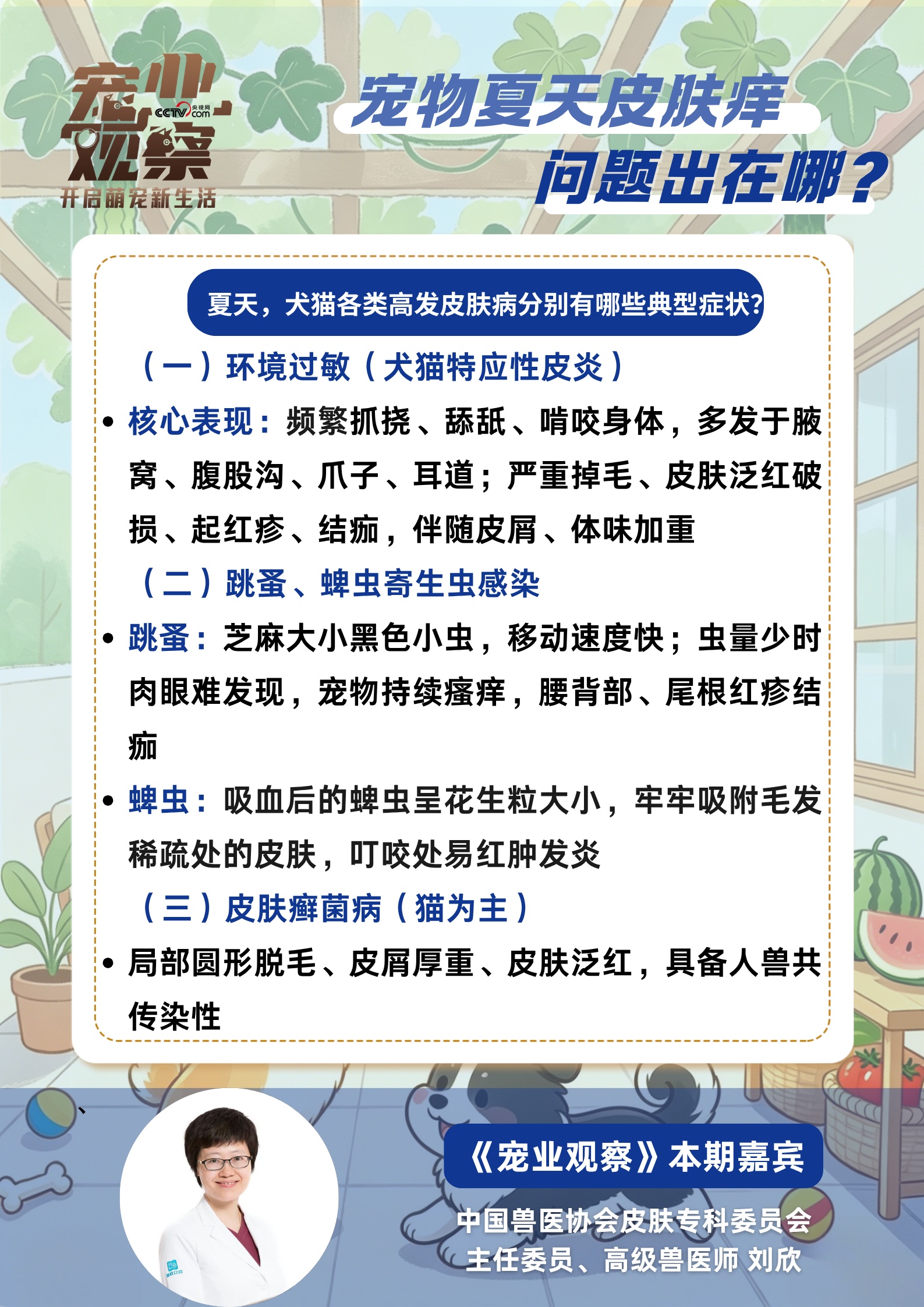 “夏日痒痒”警报,如何守护毛孩子清爽夏日? “夏日痒痒”警报,如何守护毛孩子清爽夏日?