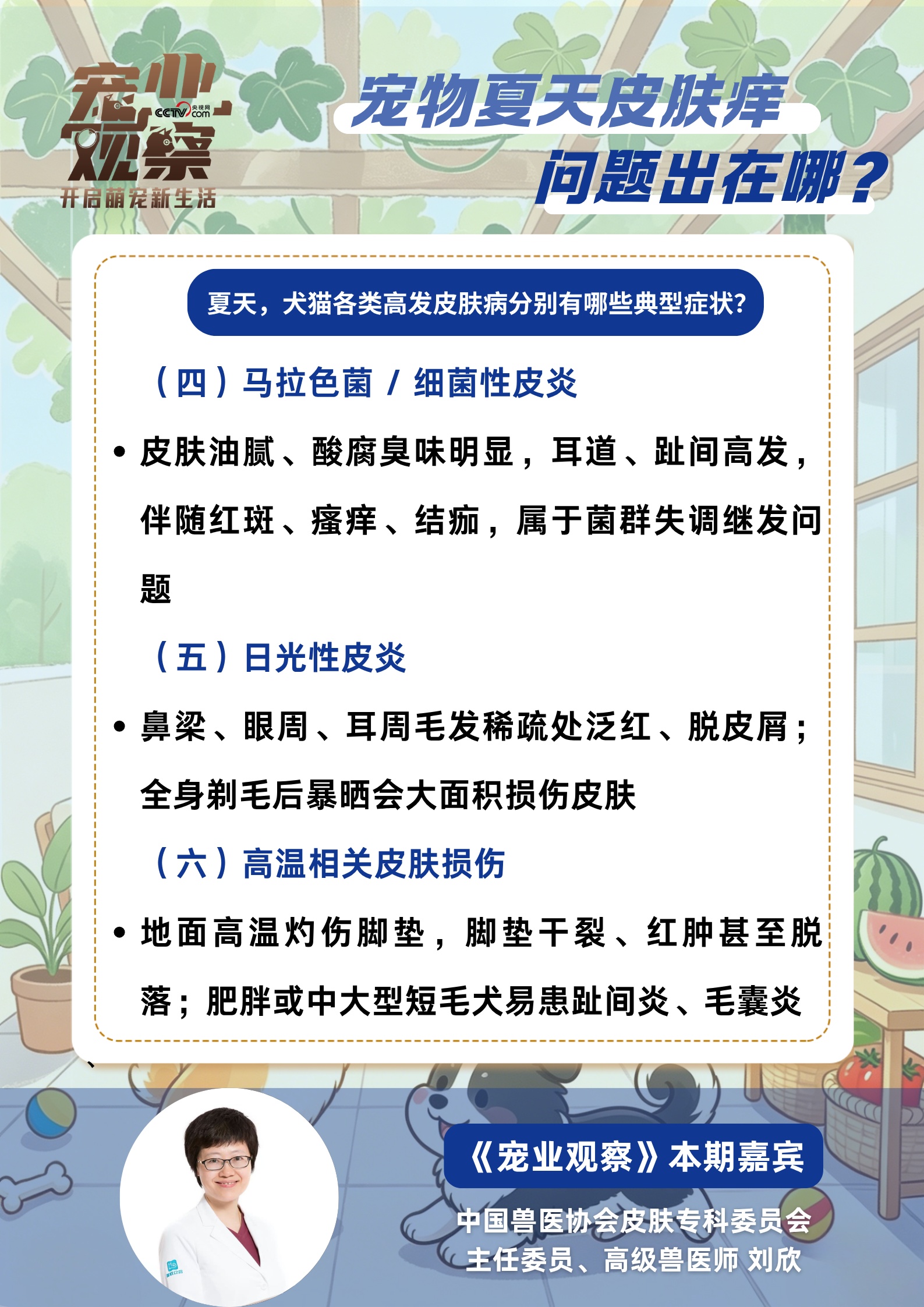 “夏日痒痒”警报,如何守护毛孩子清爽夏日? “夏日痒痒”警报,如何守护毛孩子清爽夏日?