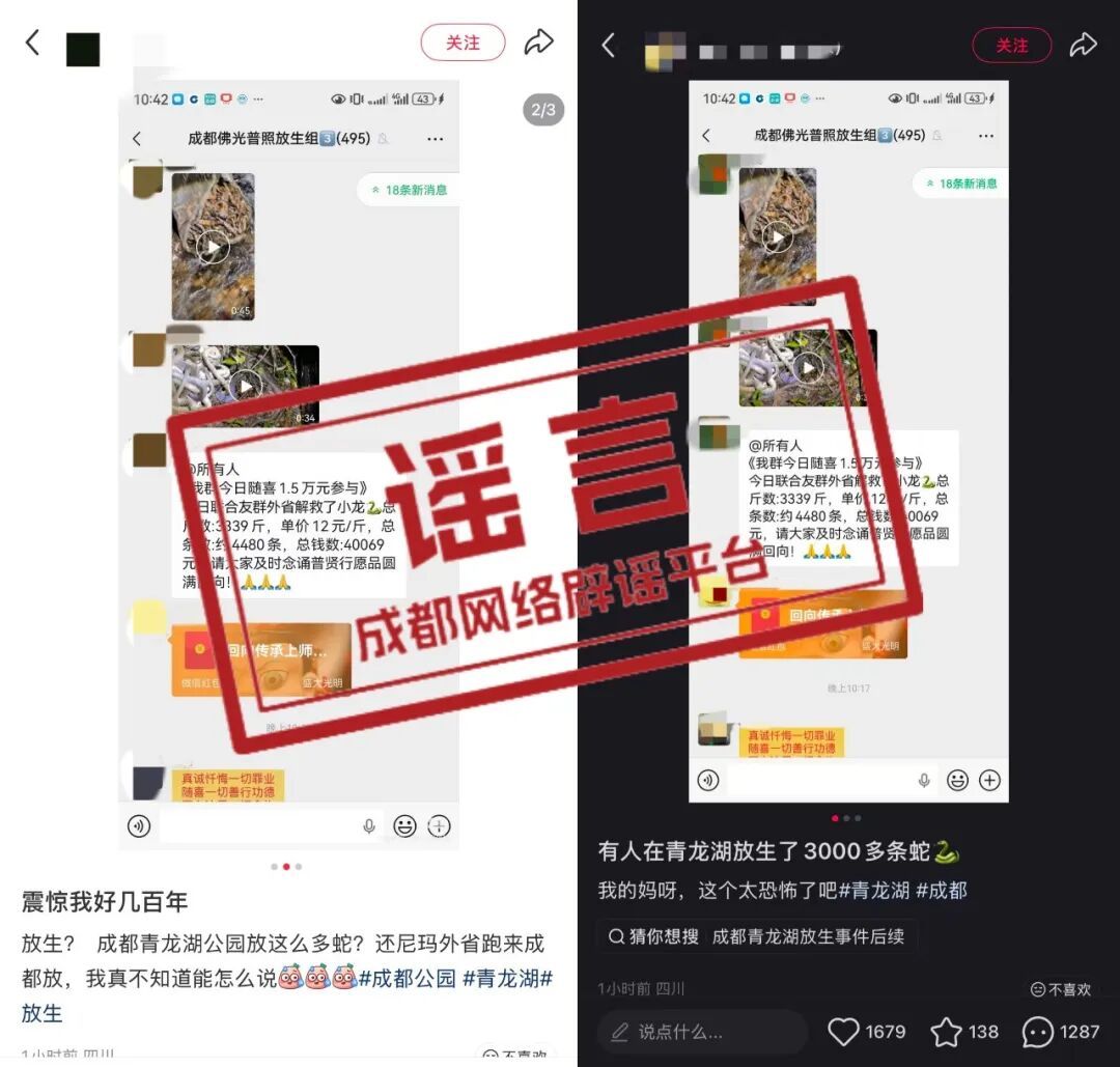 有人在成都青龙湖放生3000条蛇?回应来了 有人在成都青龙湖放生3000条蛇?回应来了