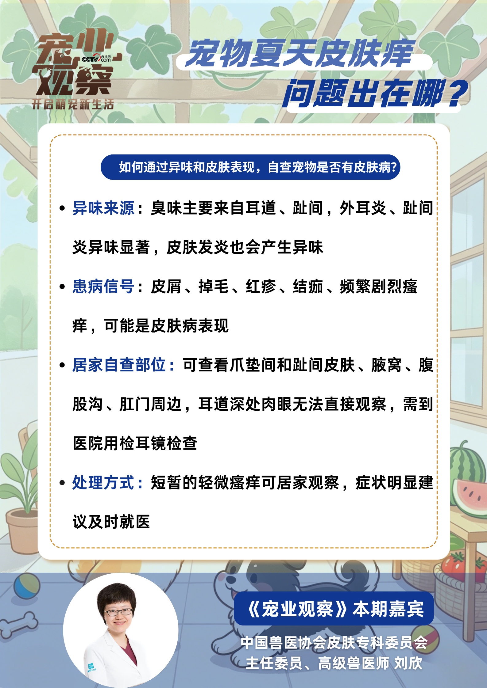“夏日痒痒”警报,如何守护毛孩子清爽夏日? “夏日痒痒”警报,如何守护毛孩子清爽夏日?