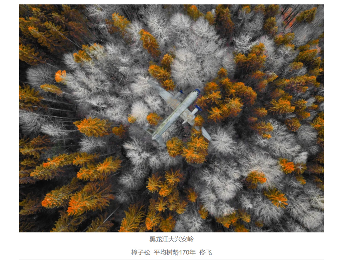 疑似AI篡改照片参加摄影赛被撤销入围奖,主办方:永久取消作者参赛资格 疑似AI篡改照片参加摄影赛被撤销入围奖,主办方:永久取消作者参赛资格