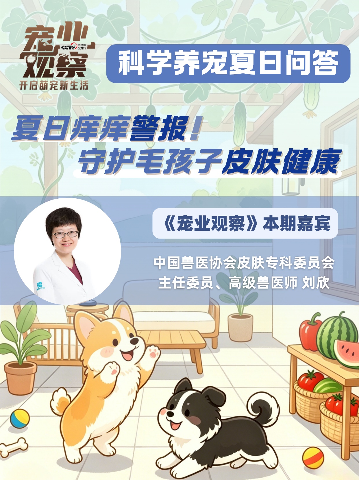 “夏日痒痒”警报,如何守护毛孩子清爽夏日? “夏日痒痒”警报,如何守护毛孩子清爽夏日?