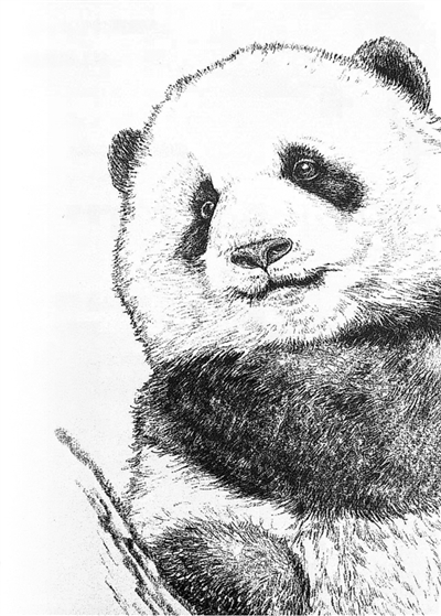 为何年轻人总爱往动物园跑？