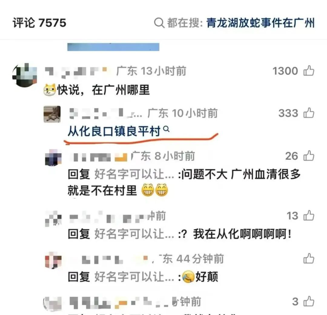 网传数千条蛇被放生,从成都传到广州,官方辟谣:不实消息! 网传数千条蛇被放生,从成都传到广州,官方辟谣:不实消息!