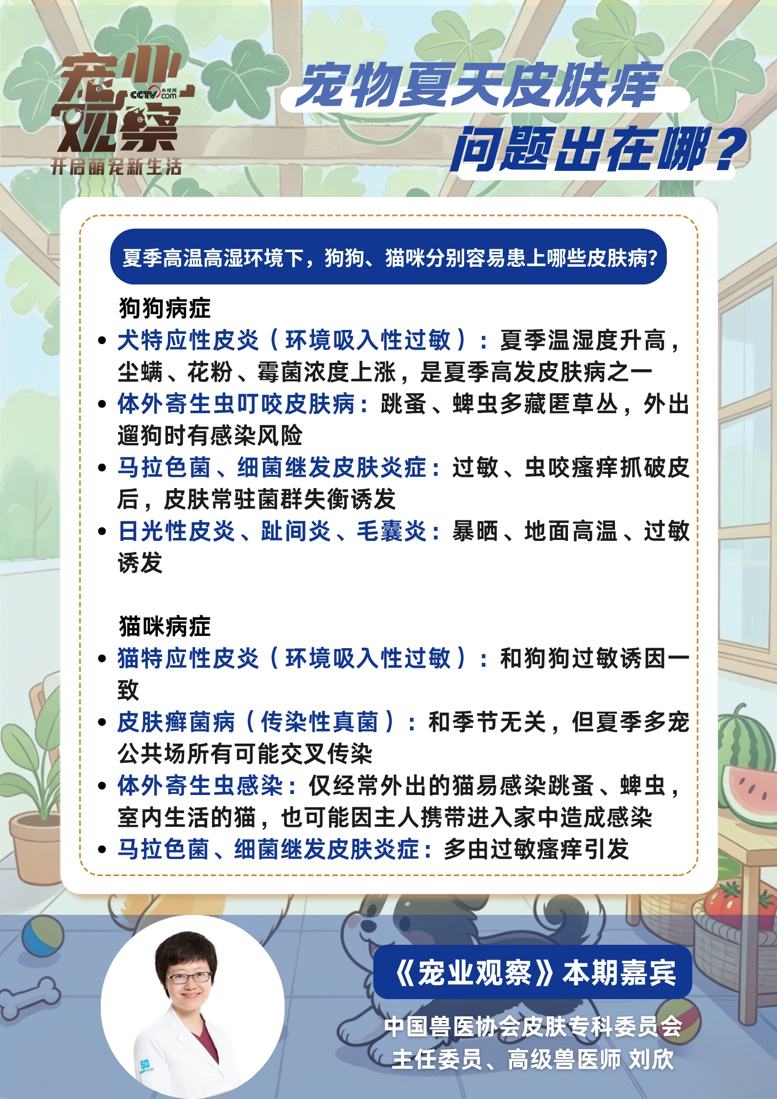 “夏日痒痒”警报,如何守护毛孩子清爽夏日? “夏日痒痒”警报,如何守护毛孩子清爽夏日?