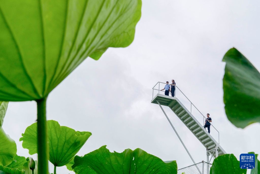 黄河故事丨行走在黄河岸边的环境资源法庭 黄河故事丨行走在黄河岸边的环境资源法庭