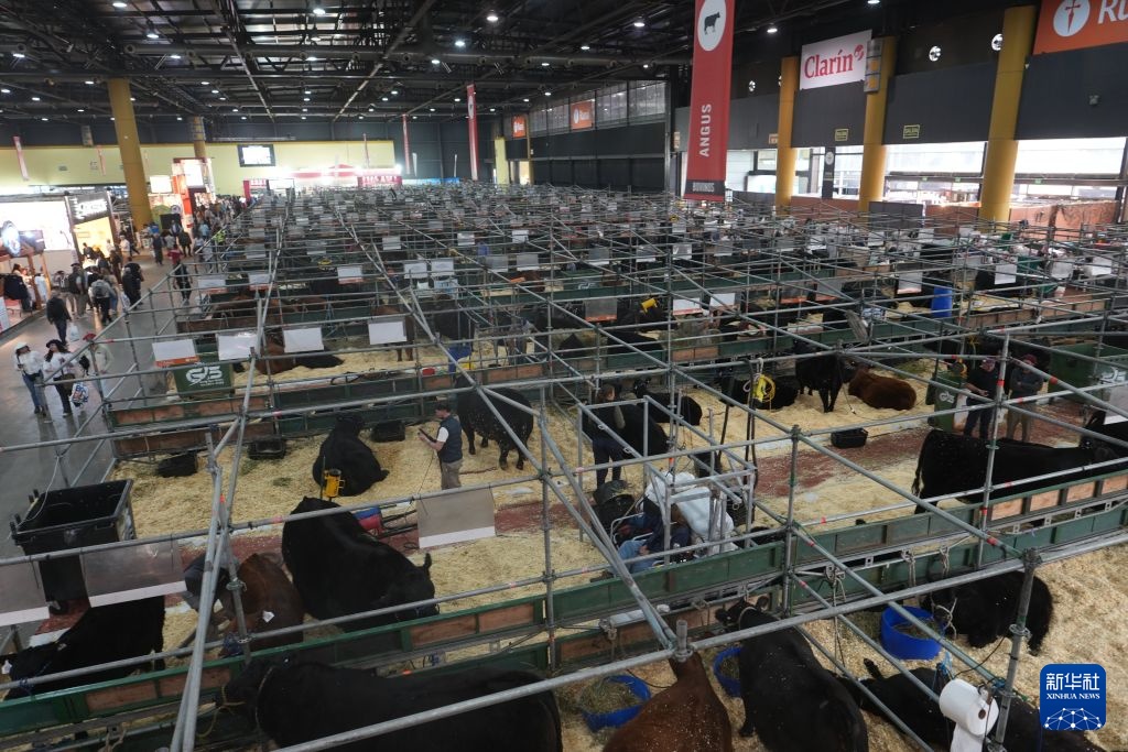 阿根廷举行国际畜牧、农业和工业展览会 阿根廷举行国际畜牧、农业和工业展览会