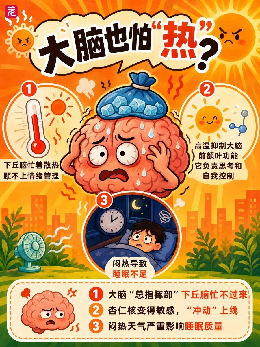 一热就暴躁、小事就炸毛?可能是“热怒症”的锅 一热就暴躁、小事就炸毛?可能是“热怒症”的锅