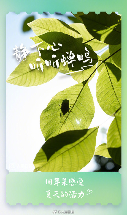 治愈！这些小事解锁夏日仪式感