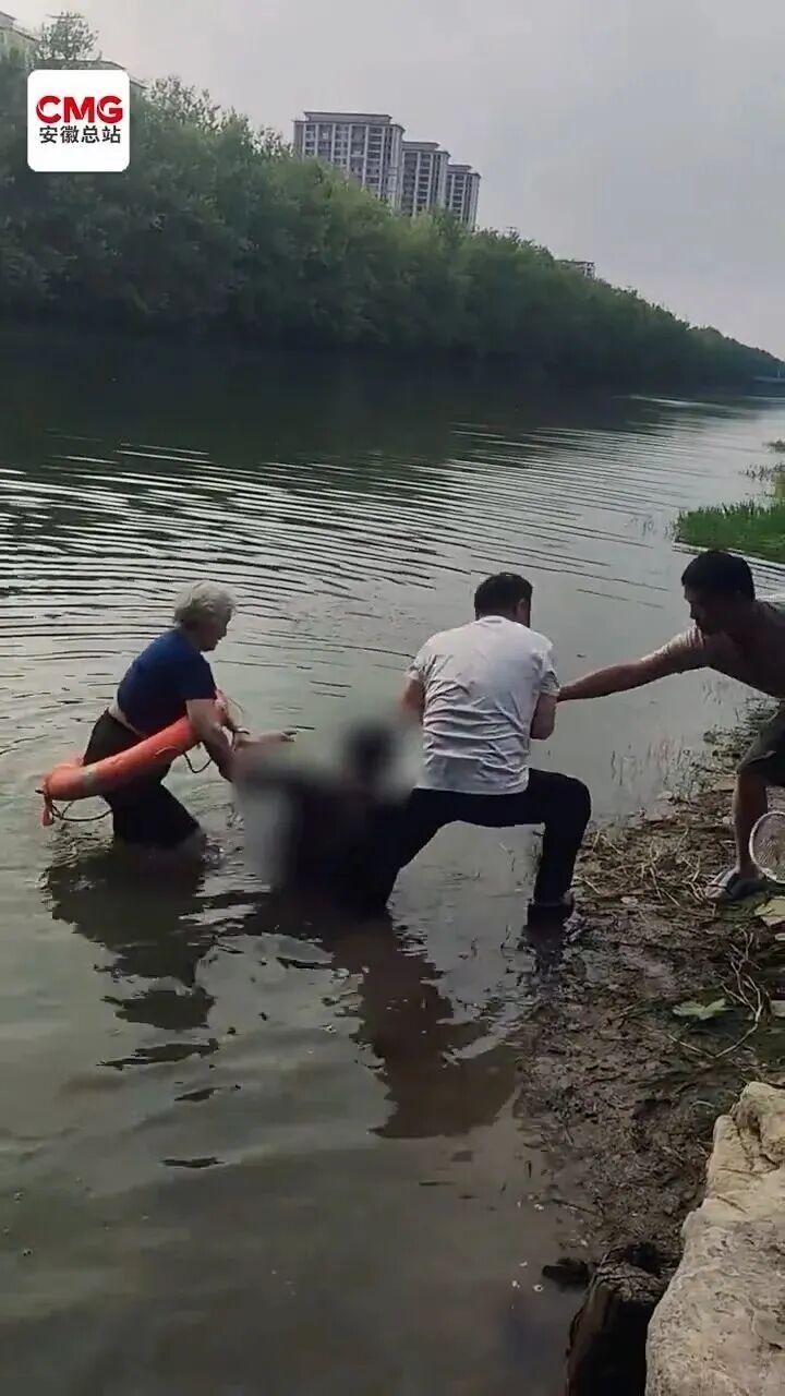 “白发奶奶”找到了!已认定见义勇为! “白发奶奶”找到了!已认定见义勇为!