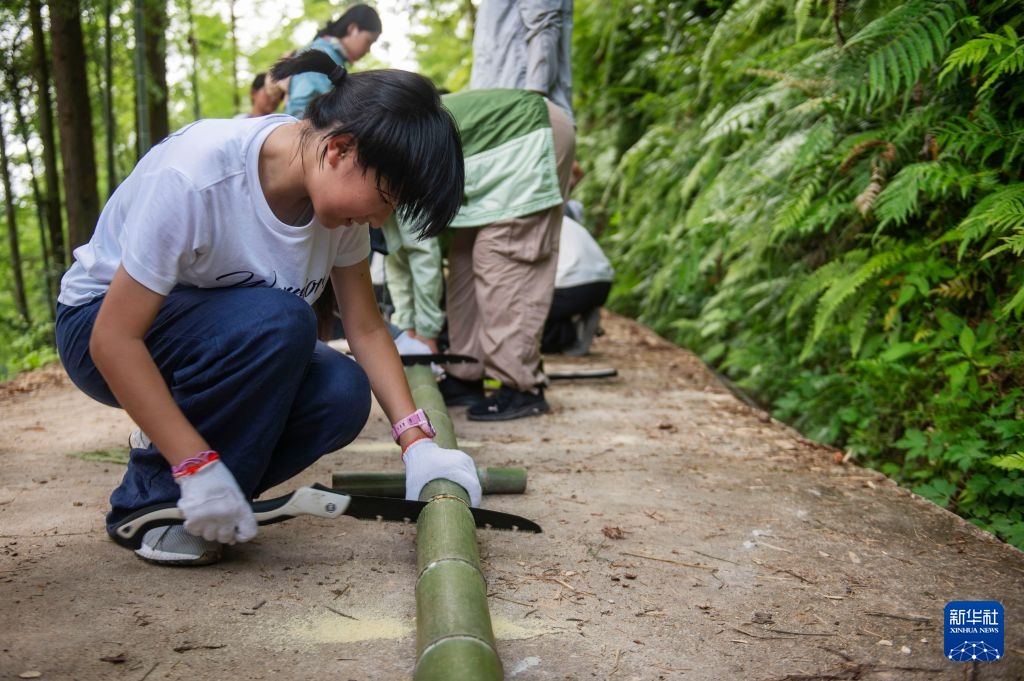 贵州从江:侗寨暑期研学热 贵州从江:侗寨暑期研学热