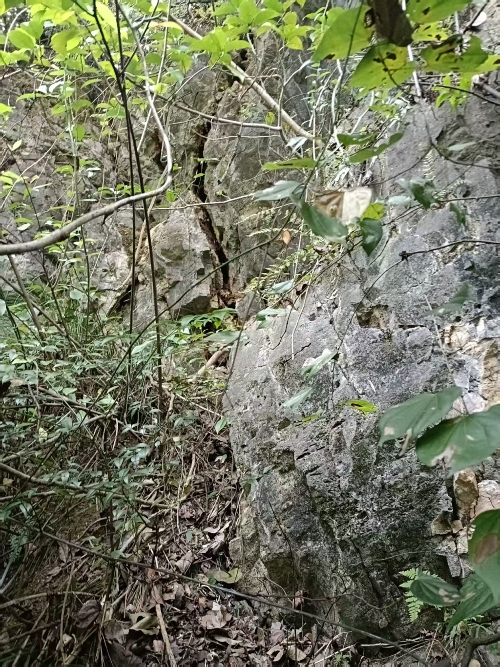 重庆彭水山体崩塌的发现、预警、目睹和救援者 重庆彭水山体崩塌的发现、预警、目睹和救援者