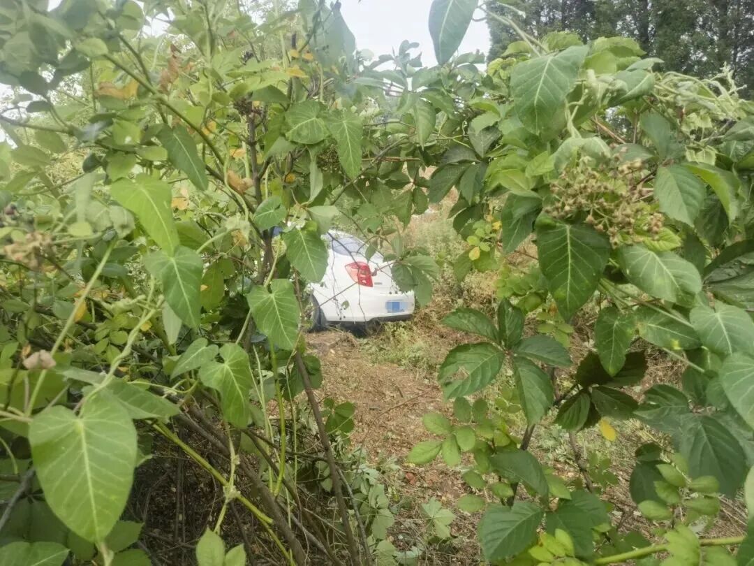 一头栽进路边沟!夏天开车这件事大意不得······ 一头栽进路边沟!夏天开车这件事大意不得······