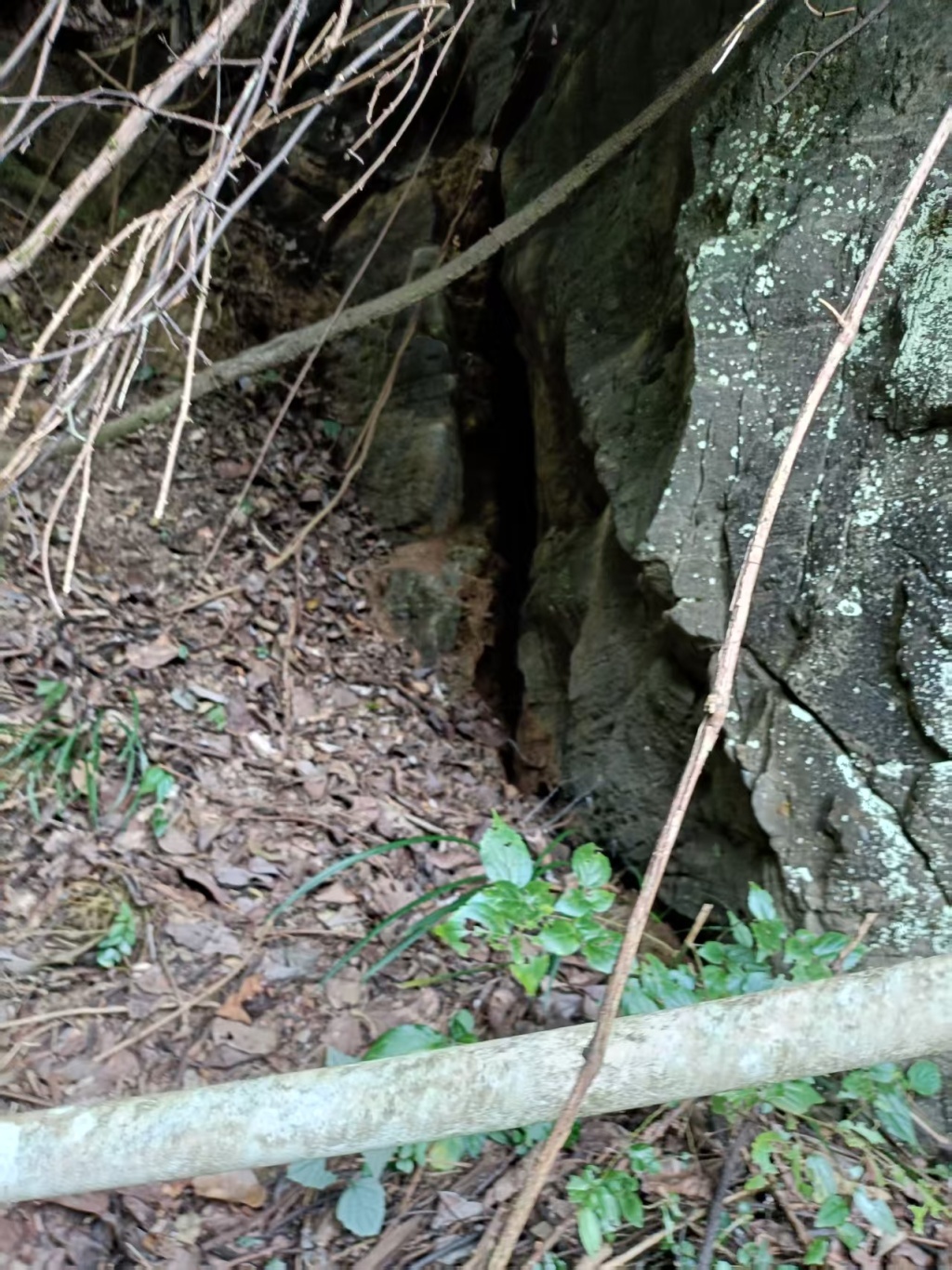 重庆彭水山体崩塌的发现、预警、目睹和救援者 重庆彭水山体崩塌的发现、预警、目睹和救援者