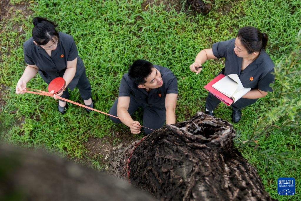 黄河故事丨行走在黄河岸边的环境资源法庭 黄河故事丨行走在黄河岸边的环境资源法庭