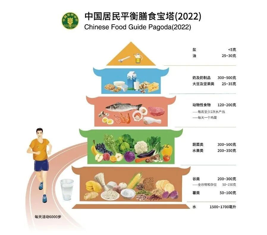 “哈兰德食谱”火了!运动员饮食,我们能不能“抄作业”? “哈兰德食谱”火了!运动员饮食,我们能不能“抄作业”?