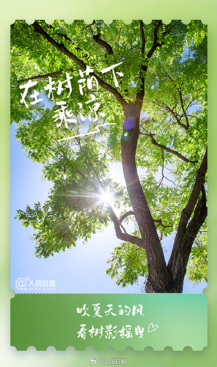 治愈！这些小事解锁夏日仪式感