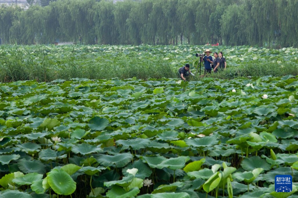 黄河故事丨行走在黄河岸边的环境资源法庭 黄河故事丨行走在黄河岸边的环境资源法庭